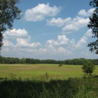 Productive Farm &nbsp; Recreational Land For Sale in Hardin County  TN images 4