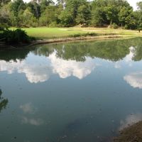 Productive Farm &nbsp; Recreational Land For Sale in Hardin County  TN images 5