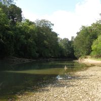 Productive Farm &nbsp; Recreational Land For Sale in Hardin County  TN images 6