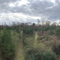 116 Acres in Holmes County in Durant  MS