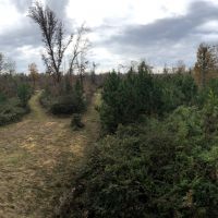 116 Acres in Holmes County in Durant  MS images 2