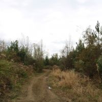 116 Acres in Holmes County in Durant  MS images 5