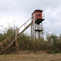 116 Acres in Holmes County in Durant  MS images 6