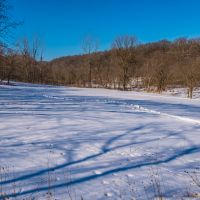 45  - Acres Winneshiek County  IA images 5