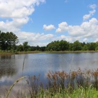 White Ranch images 2