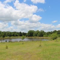 White Ranch images 3