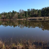 White Ranch images 5