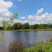 White Ranch images 6