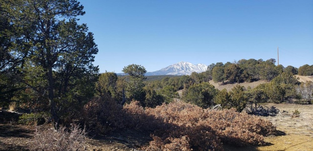 126 Silver Spurs Ranch featured image