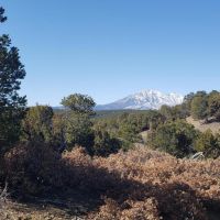 126 Silver Spurs Ranch