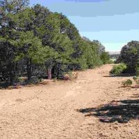 126 Silver Spurs Ranch images 2