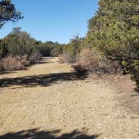 126 Silver Spurs Ranch images 3