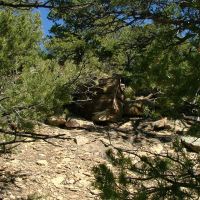 126 Silver Spurs Ranch images 5