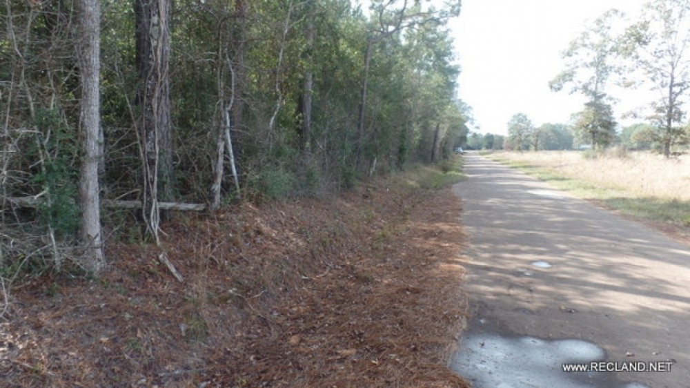 26.9 ac - Timberland for Rural Home Site featured image