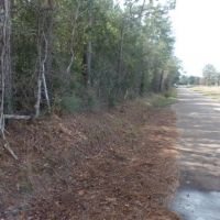26.9 ac - Timberland for Rural Home Site