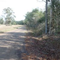 26.9 ac - Timberland for Rural Home Site images 2