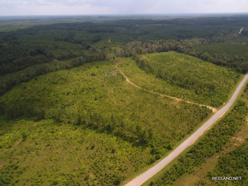 70 ac - Timberland with Home Site Potential featured image