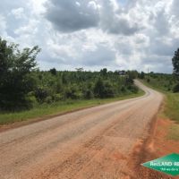 70 ac - Timberland with Home Site Potential images 2