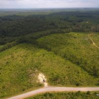 70 ac - Timberland with Home Site Potential images 3