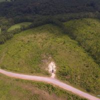 70 ac - Timberland with Home Site Potential images 6