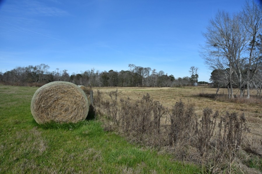 True Farm and Recreational Tract featured image