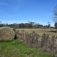 True Farm and Recreational Tract