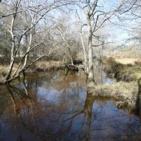 True Farm and Recreational Tract images 4