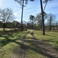 True Farm and Recreational Tract images 6