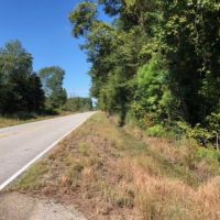 52 Acres  Enon  Louisiana  HWY 60 images 2