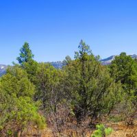 D3 Santa Fe Trail Ranch images 2