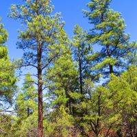 D3 Santa Fe Trail Ranch images 4