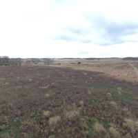 120  - Acres Ag. Land and Hunting in Waushara County WI images 2