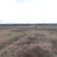 120  - Acres Ag. Land and Hunting in Waushara County WI images 5