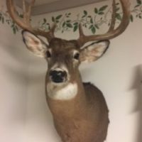 130 Acres of Top Access Grant County WI land for sale