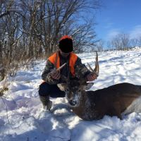 130 Acres of Top Access Grant County WI land for sale images 3