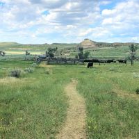 Plum Coulee Fork Ranch images 3