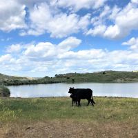 Plum Coulee Fork Ranch images 4