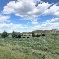 Plum Coulee Fork Ranch images 5