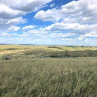 Plum Coulee Fork Ranch images 6