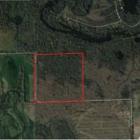 Wooded Recreational Land Columbia County images 2