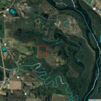 Wooded Recreational Land Columbia County images 3