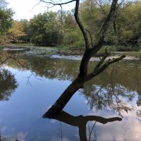 Inexpensive Recreational Property in Columbia County images 3