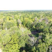 Inexpensive Recreational Property in Columbia County images 5