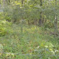 Inexpensive Recreational Property in Columbia County images 6