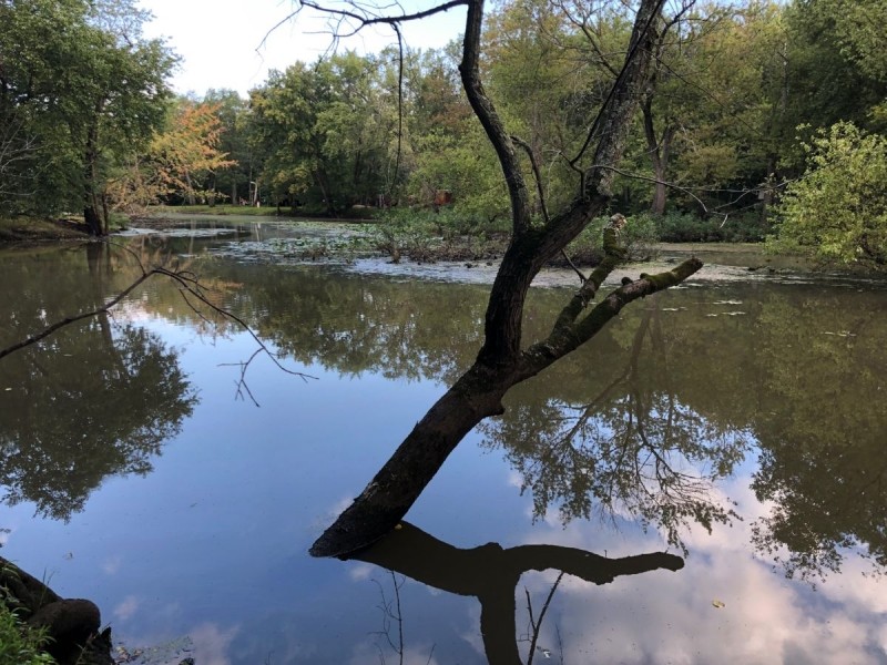 Off the Beaten Path Recreational Property Columbia County featured image