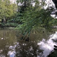 Off the Beaten Path Recreational Property Columbia County images 2