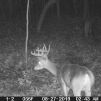 Off the Beaten Path Recreational Property Columbia County images 4