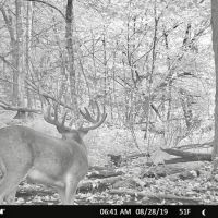 Paramount Trophy Whitetail Camp in La Farge  Wisconsin images 2