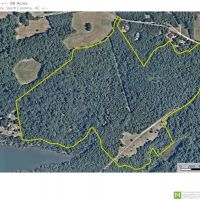 - 90-Acres-Development Opportunity with Lake Robinson Frontage images 2