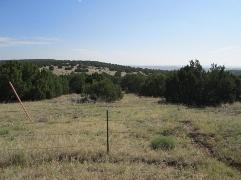 59 Filing 4 Silver Spurs Ranch featured image